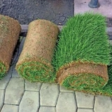 Pravilno postavljanje travnjaka